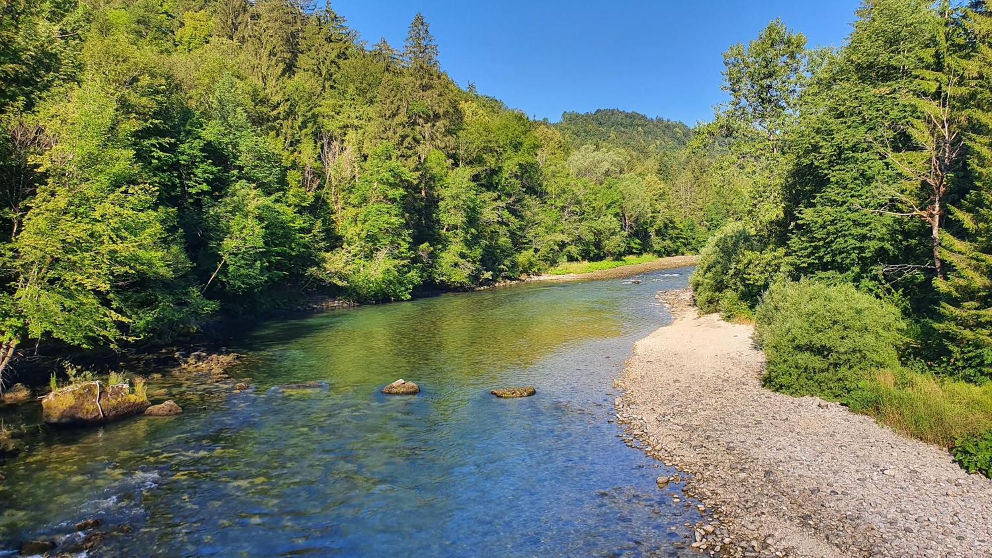 Eco River Camp - Pitches Radovljica Dış mekan fotoğraf