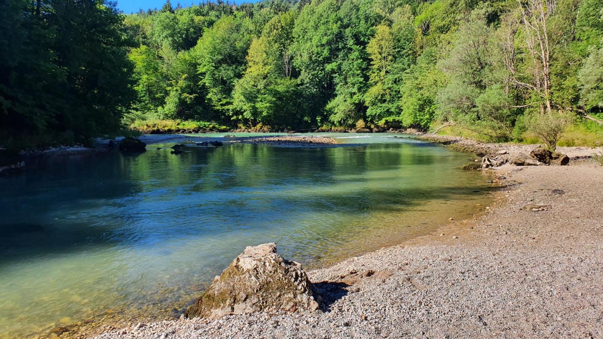Eco River Camp - Pitches Radovljica Dış mekan fotoğraf